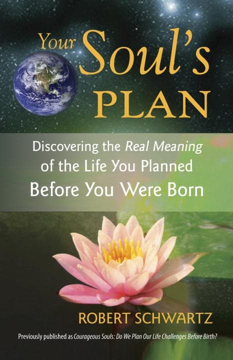 Your souls plan 9781583942727