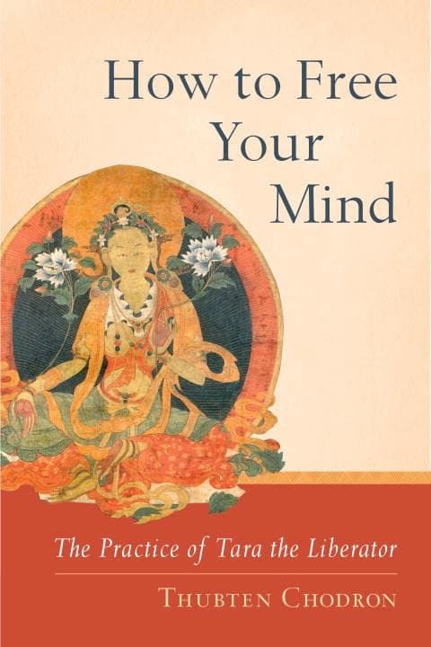 How to free your mind 9781559393980