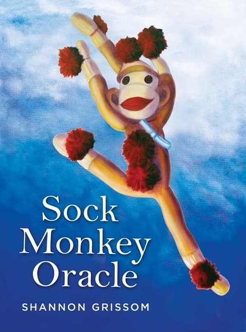 Sock Monkey Oracle 9781582708591