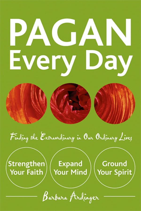 Pagan every day 9781578633326