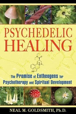 Psychedelic Healing 9781594772504