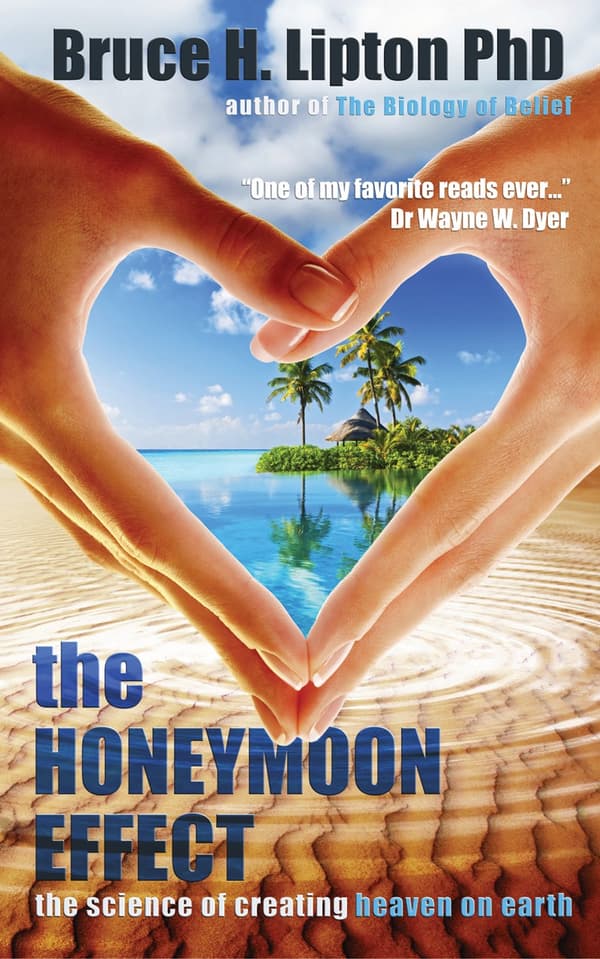 Honeymoon effect 9781781801895