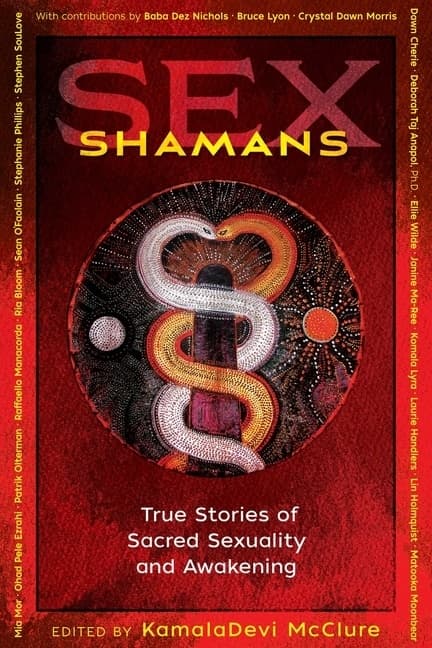 Sex Shamans 9781620559215