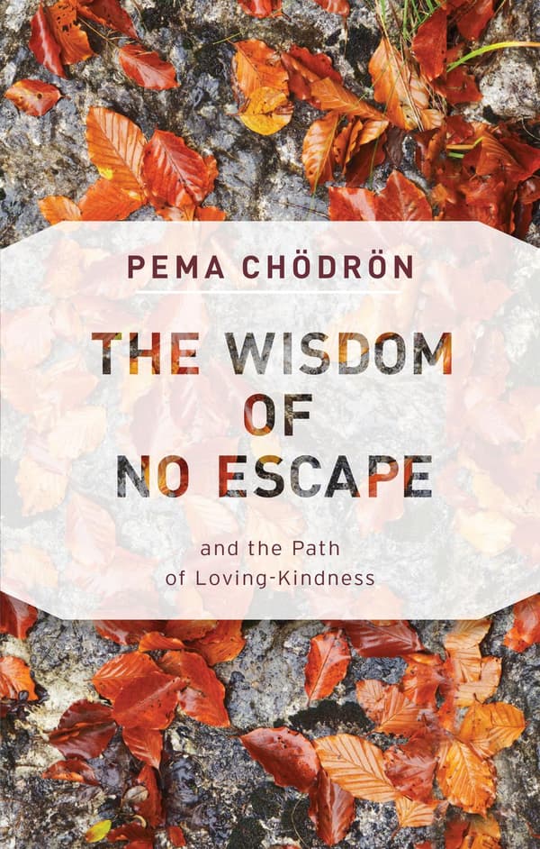 The Wisdom of No Escape 9781611806052