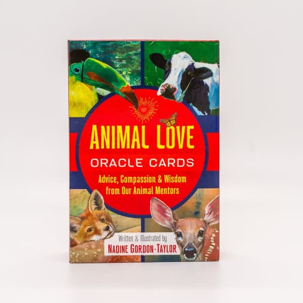 Animal Love Oracle Cards 9781591434047