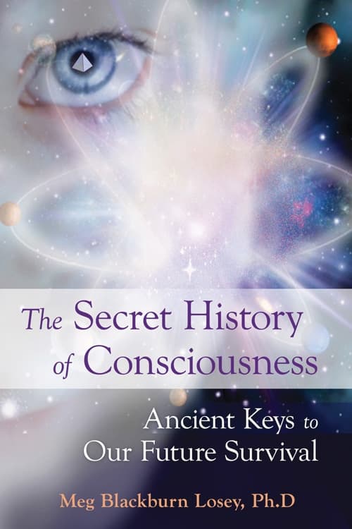 The Secret History of Consciousness 9781578634613
