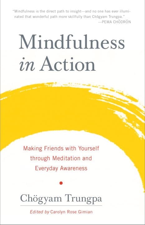 Mindfulness in Action 9781611803532