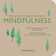 Little pocket book of mindfulness 9781782492030
