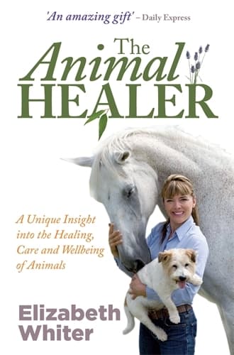 Animal healer 9781848501904