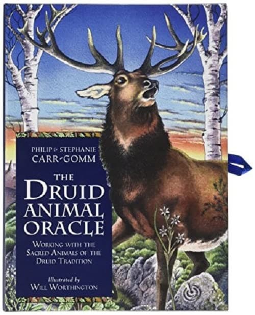 Druid Animal Oracle 9781800691247