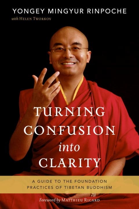 Turning confusion into clarity 9781611801217