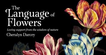 Language Of Flowers - Mini Inspiration Cards 9781925682984