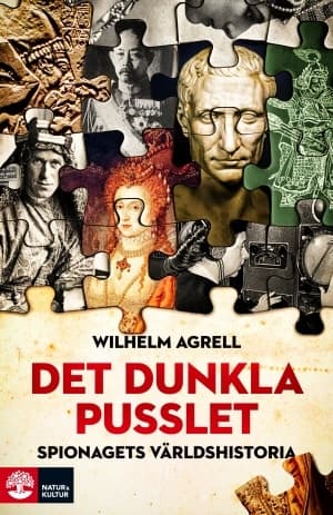 Det dunkla pusslet 9789127151161