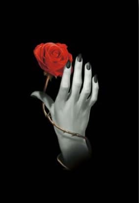 Rose Hand 9788865270592