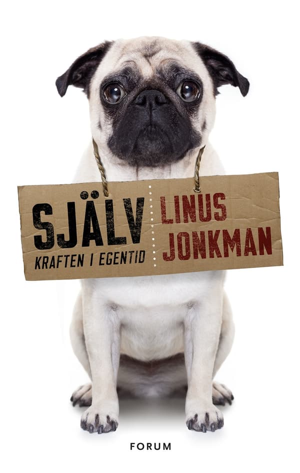 Själv : kraften i egentid 9789137145952