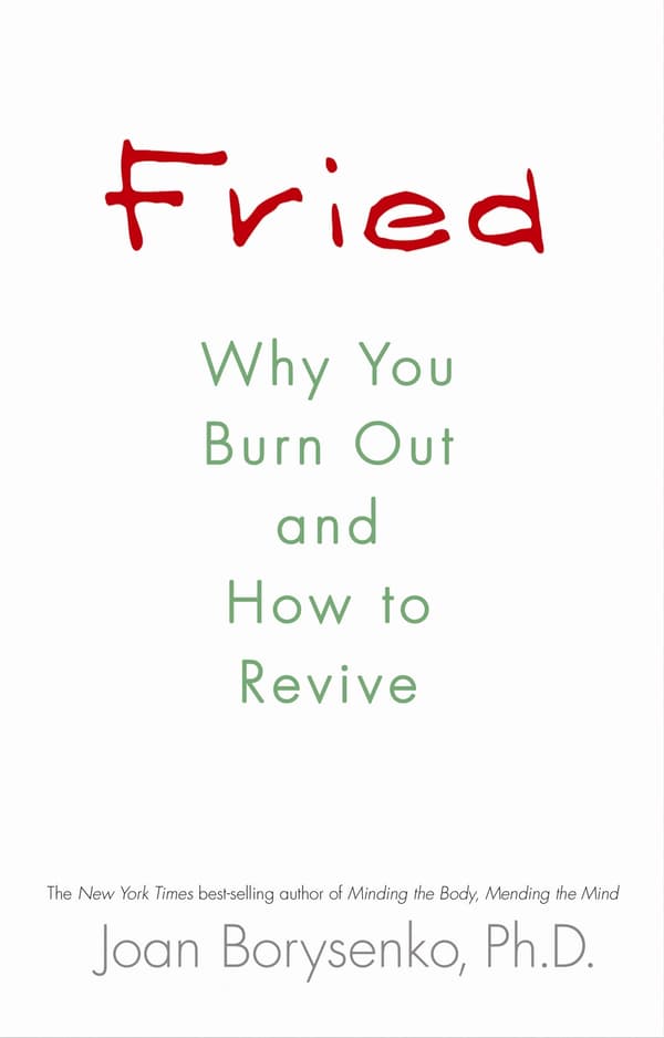 Fried - why you burn out and how to revive 9781848503038