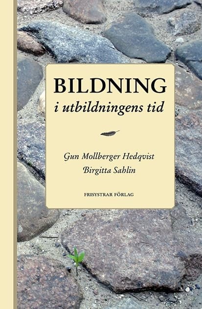 Bildning i utbildningens tid 9789163910500