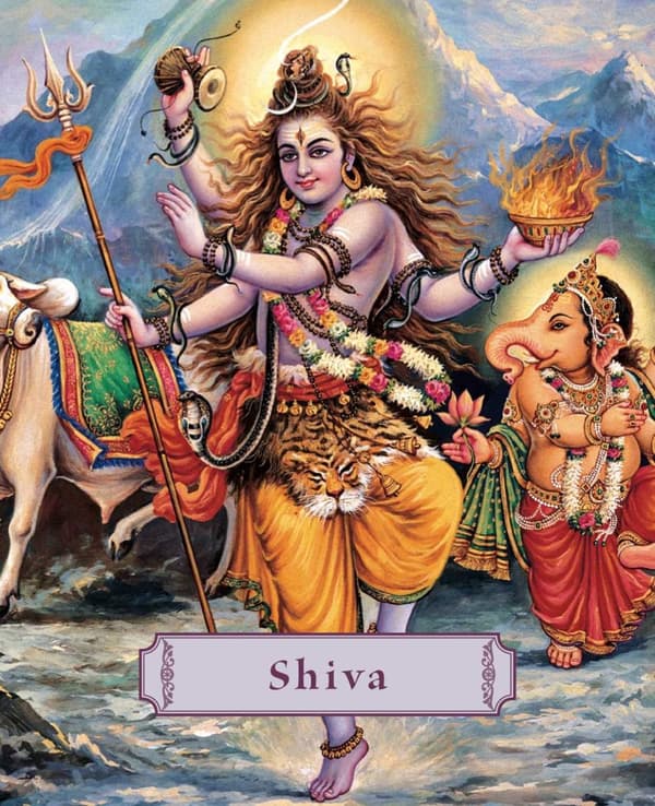 Shiva: Lord Of The Dance (Pocket-Sized) (H) 9781886069954