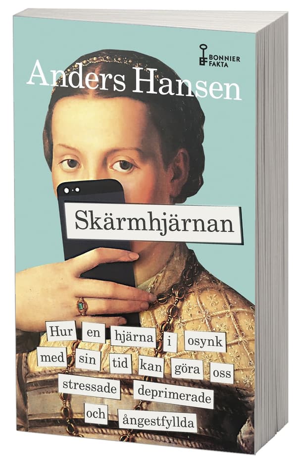Skärmhjärnan 9789178871582