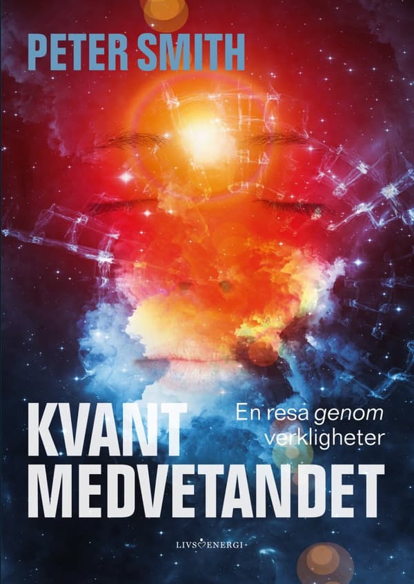 Kvantmedvetandet : en resa genom verkligheter 9789188633279