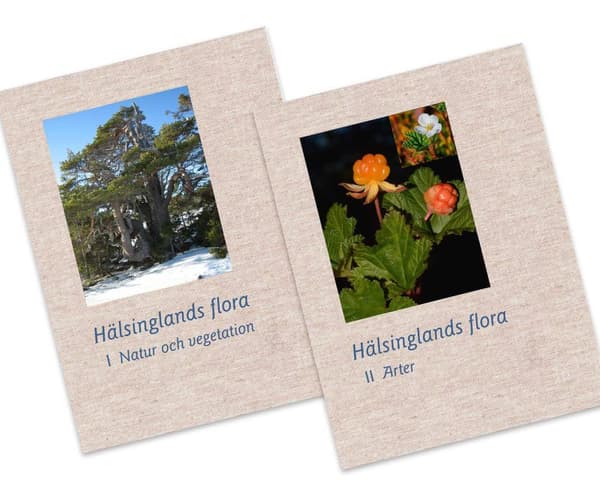 Hälsinglands flora (2 volymer) 9789197922005