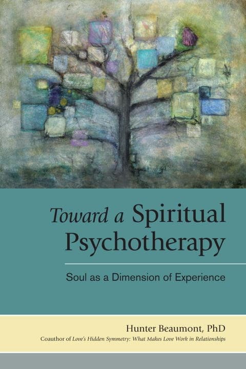 Toward a Spiritual Psychotherapy 9781583943700