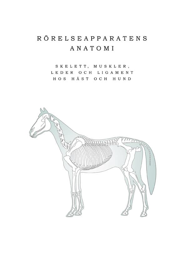 Rörelseapparatens anatomi 9789163758959
