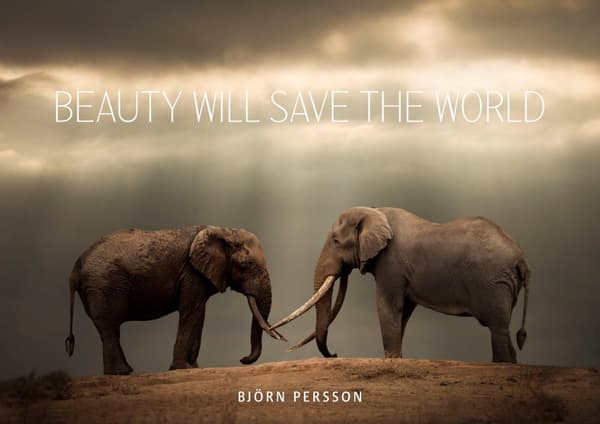 Beauty will save the world 9789189139848