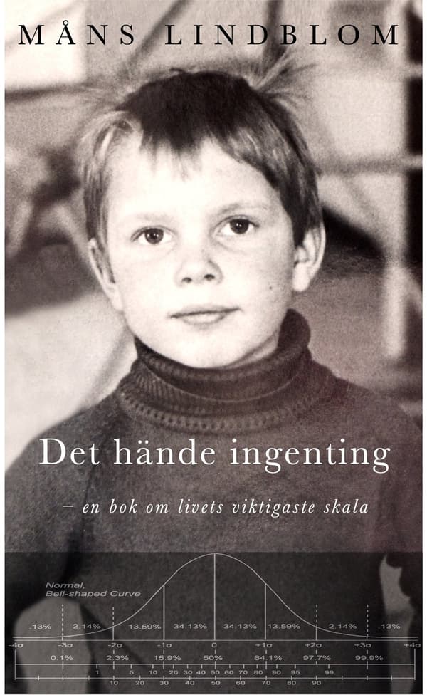 Det hände ingenting 9789152765975