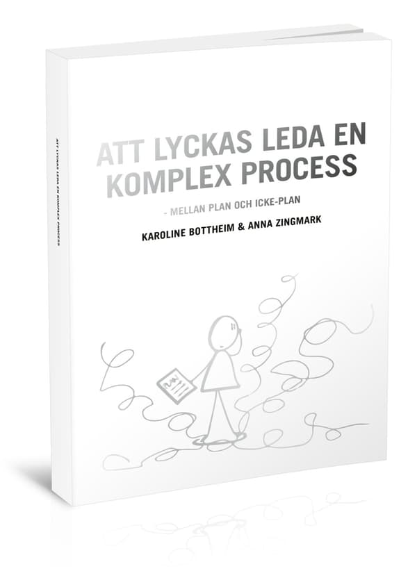 Att lyckas leda en komplex process - mellan plan 9789151907659