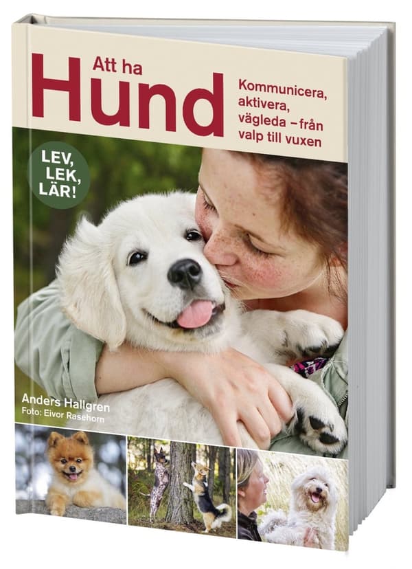 Att ha hund 9789155269166