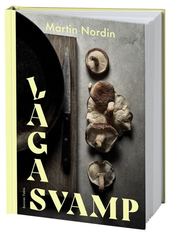 Laga svamp 9789178872169