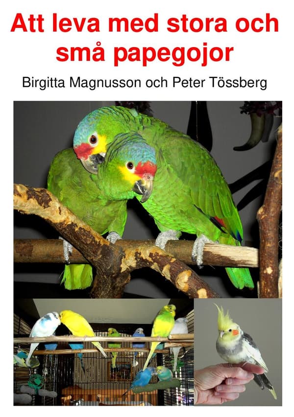 Att leva med stora och små papegojor 9789197847315