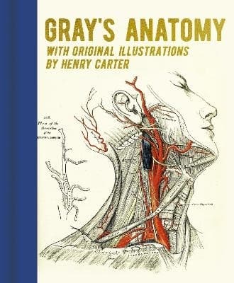 Gray's Anatomy 9781398819283