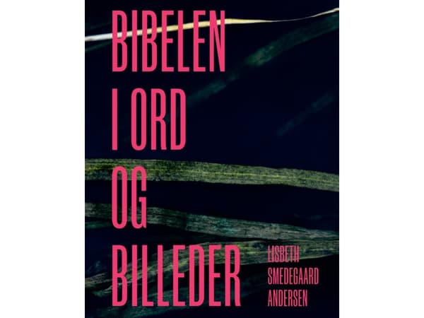Bibelen i ord og billeder | Lisbeth Smedegaard Andersen