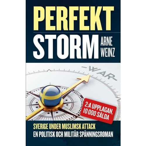 Perfekt storm (bok, danskt band)