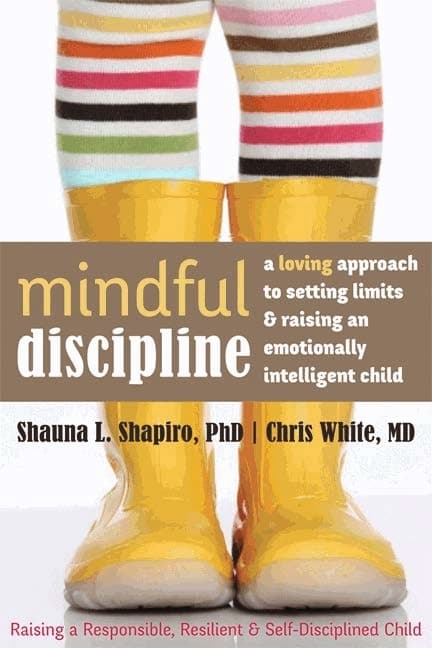 Mindful discipline 9781608828845