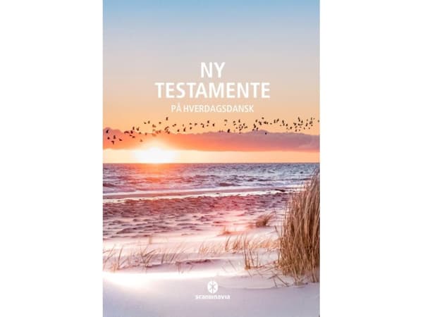 Ny Testamente - på hverdagsdansk, strand. |
