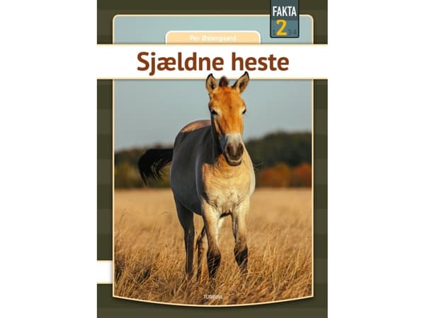 Sjældne heste | Per Østergaard