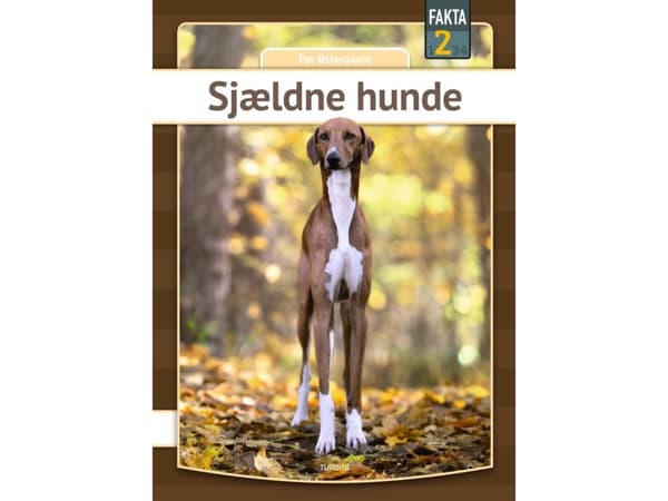 Sjældne hunde | Per Østergaard