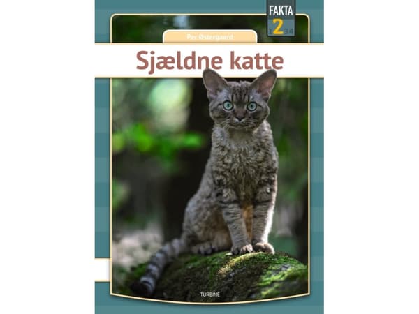 Sällsynta katter | Per Østergaard | Språk: Danska