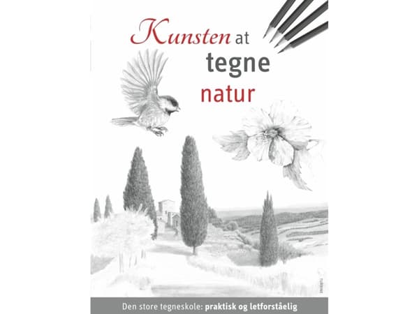 Luonnon piirtämisen taito