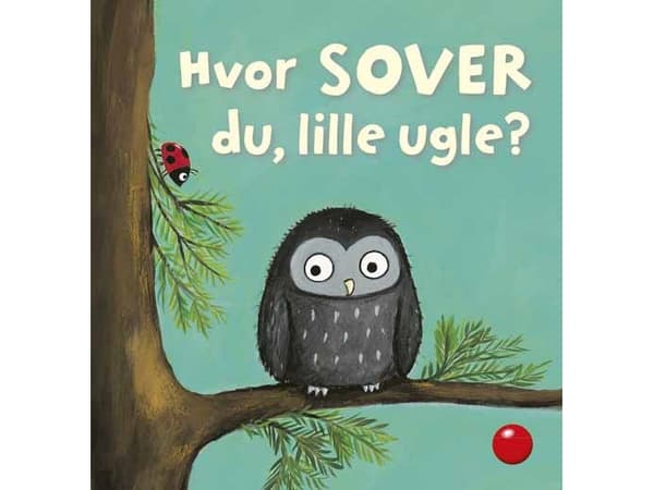 Hvor sover du, lille ugle? |