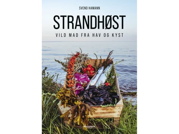 Strandhøst | Svend Hamann