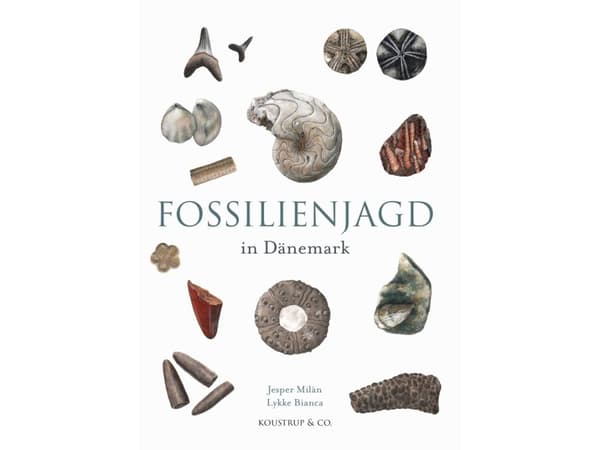 Fossilienjagd in Dänemark | Jesper Milan