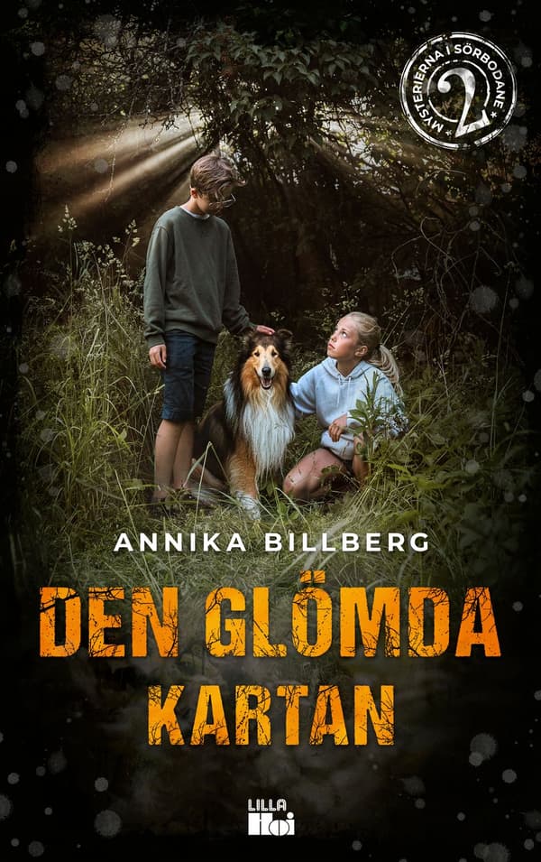 Den glömda kartan 9789175575353