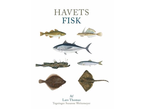 Havets fisk | Lars Thomas