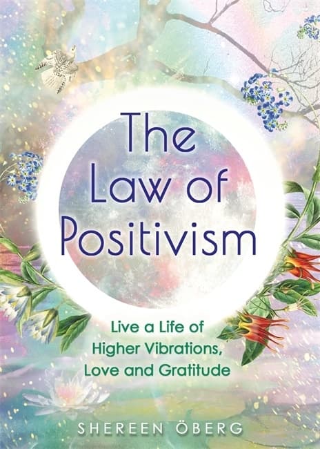 The Law of Positivism 9781788175739