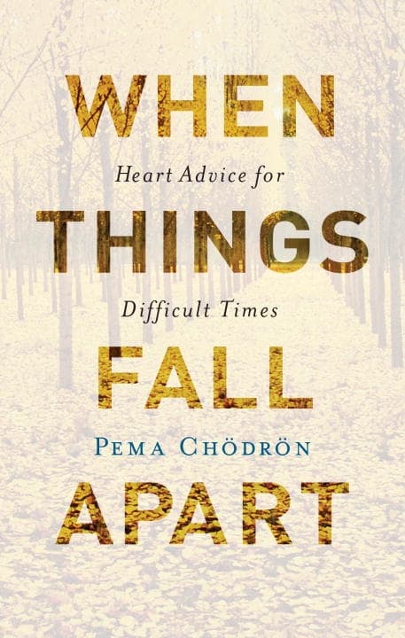 When Things Fall Apart 9781611803891