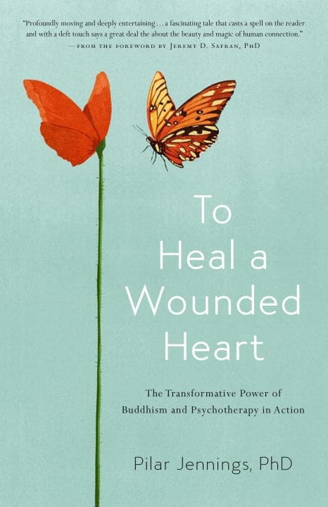 Practice of vulnerability 9781611805154